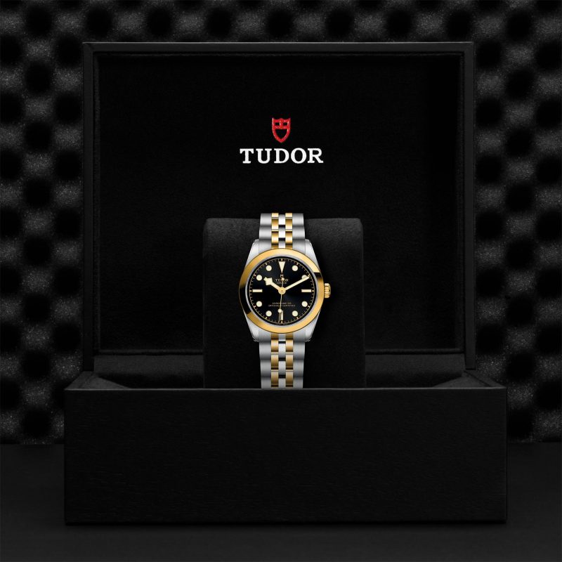TUDOR Black Bay 31 S&G – Bild 3