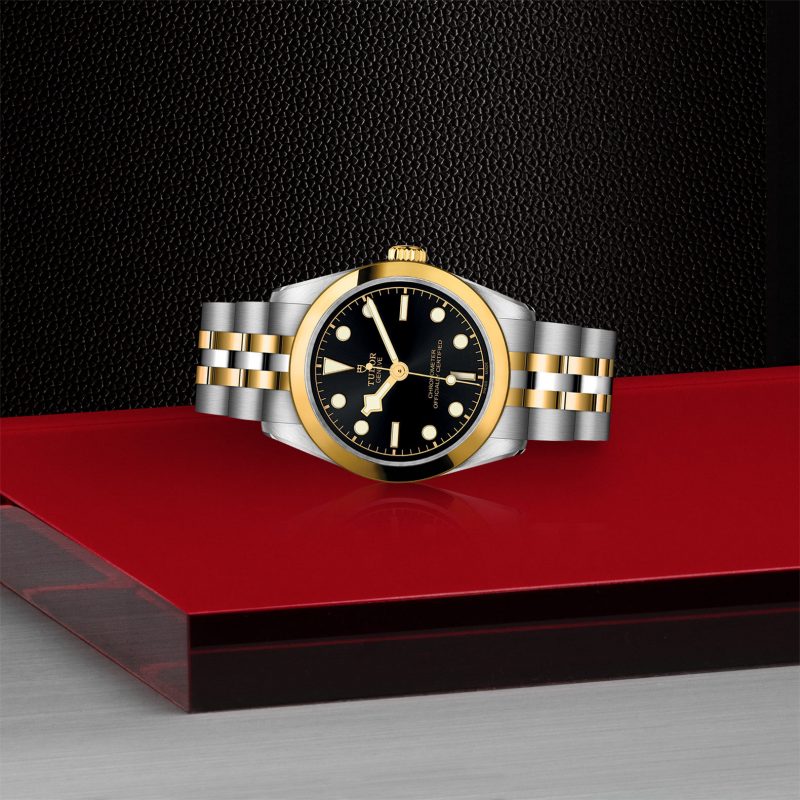 TUDOR Black Bay 31 S&G – Bild 2