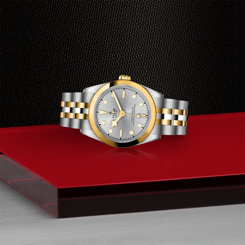 TUDOR Black Bay 31 S&G – Bild 2