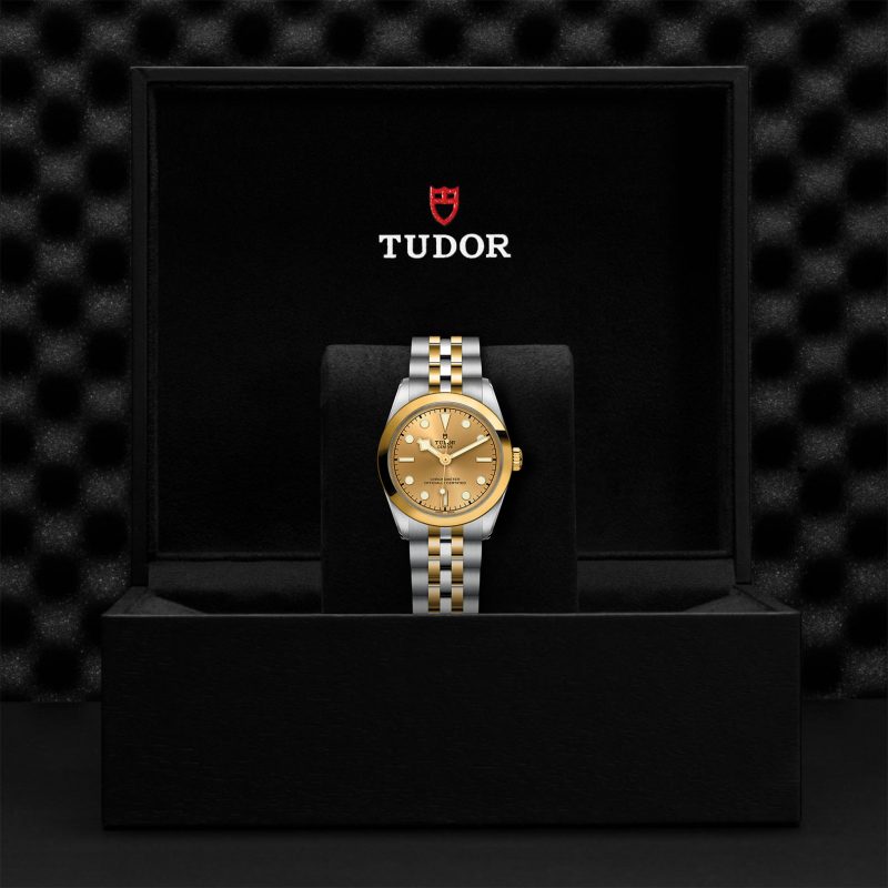 TUDOR Black Bay 31 S&G – Bild 3