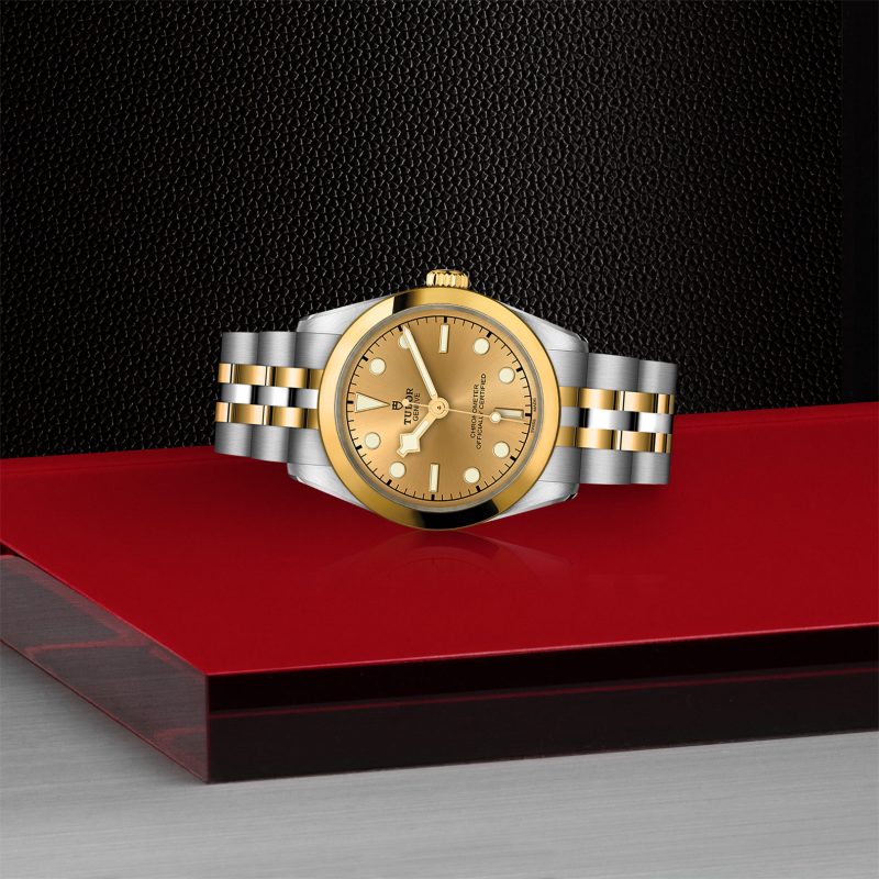 TUDOR Black Bay 31 S&G – Bild 2