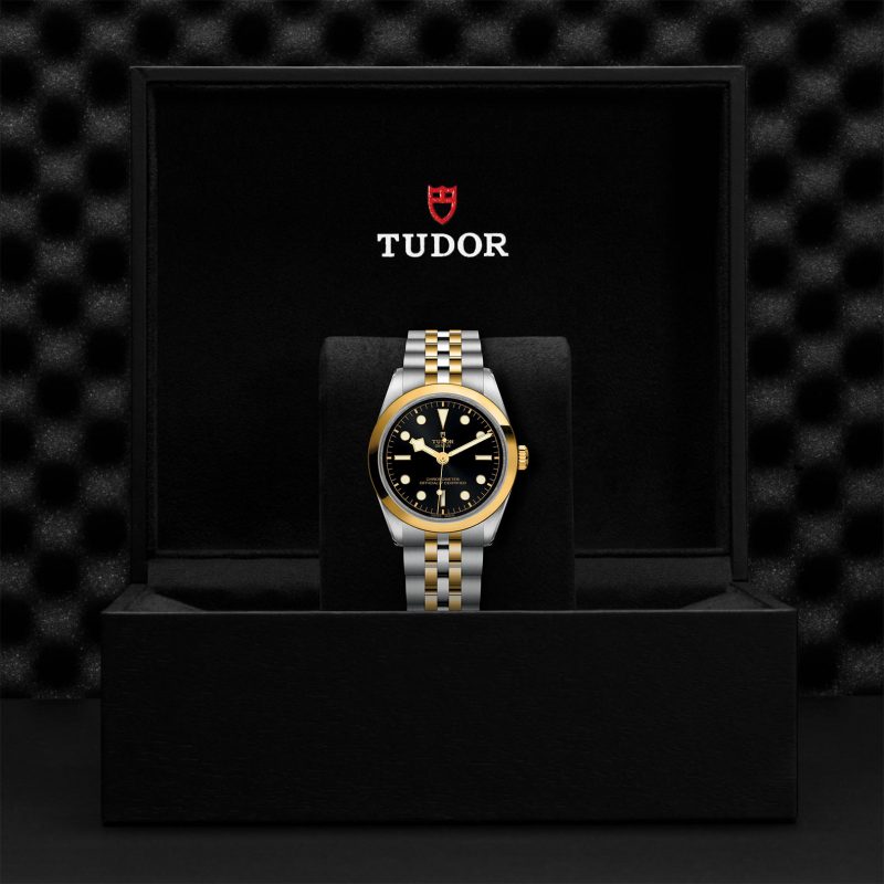 TUDOR Black Bay 36 S&G – Bild 3