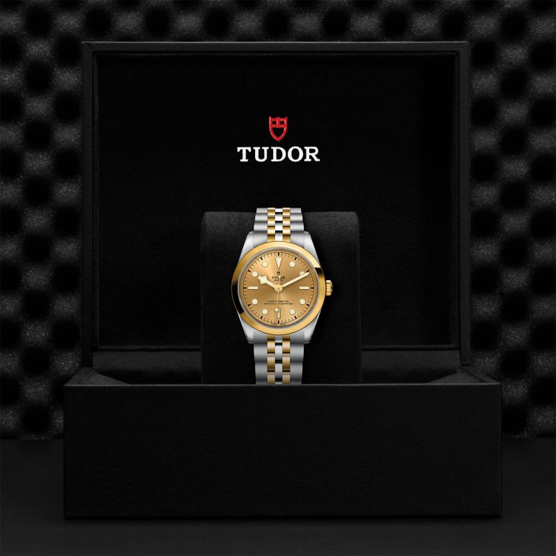 TUDOR Black Bay 36 S&G – Bild 3