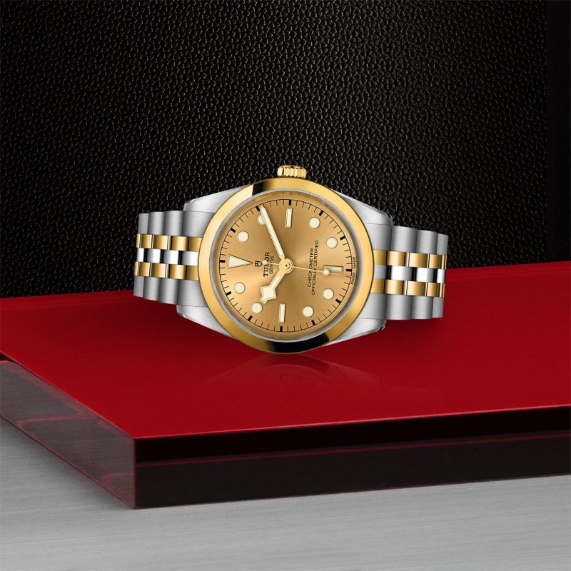 TUDOR Black Bay 36 S&G – Bild 2