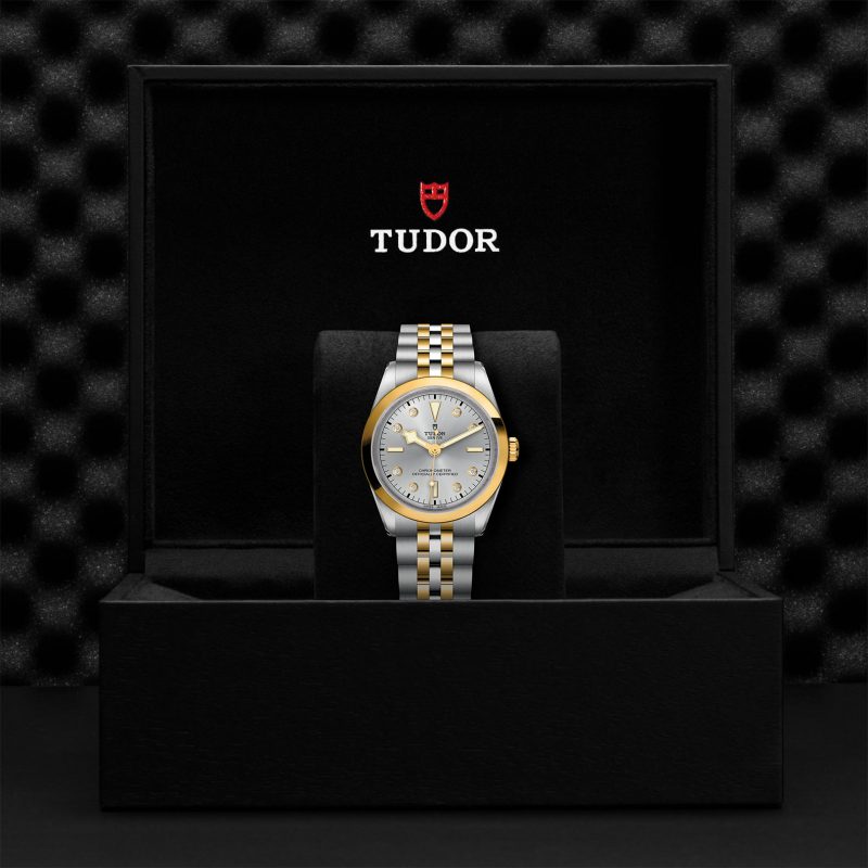 TUDOR Black Bay 36 S&G – Bild 3