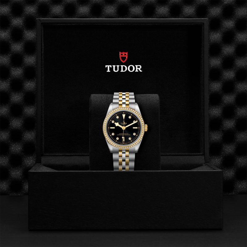 TUDOR Black Bay 36 S&G – Bild 3