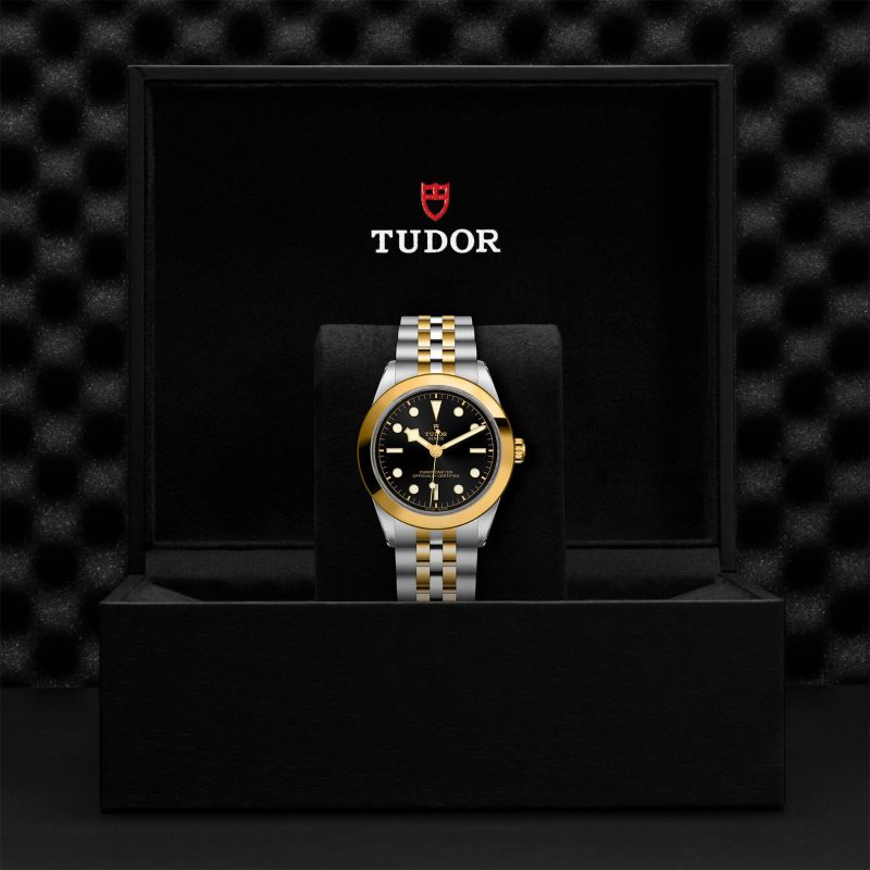 TUDOR Black Bay 39 S&G – Bild 3