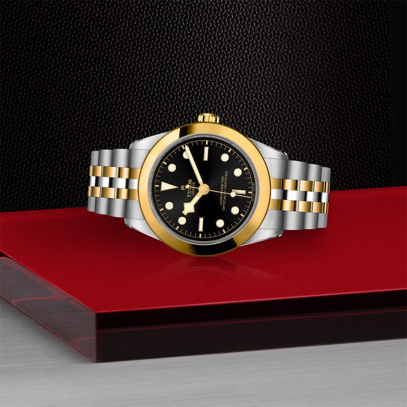 TUDOR Black Bay 39 S&G – Bild 2