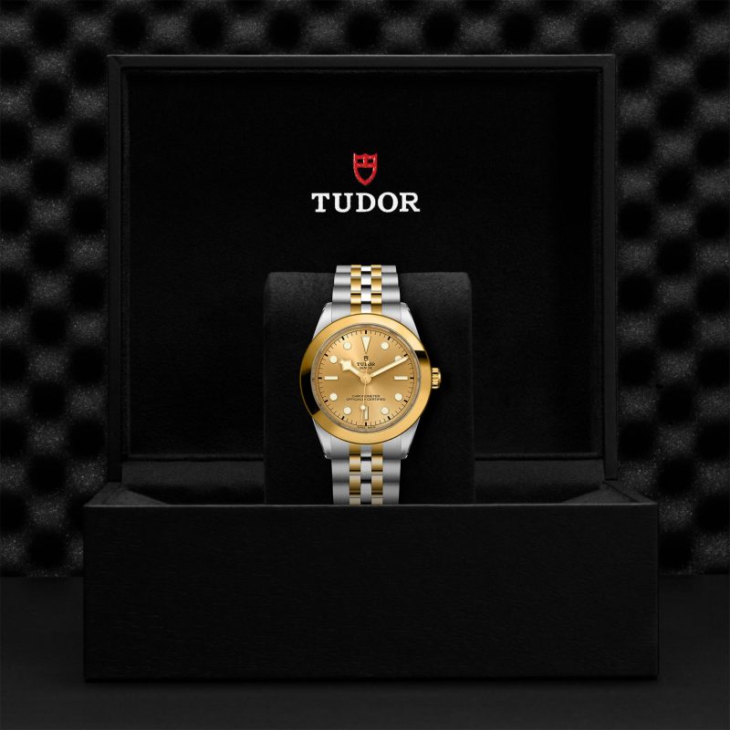 TUDOR Black Bay 39 S&G – Bild 3