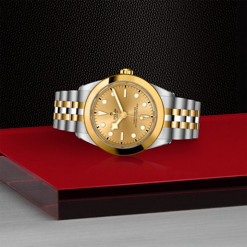 TUDOR Black Bay 39 S&G – Bild 2