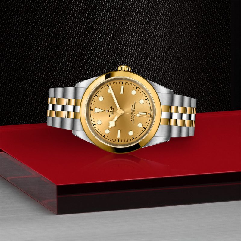 TUDOR Black Bay 41 S&G – Bild 2