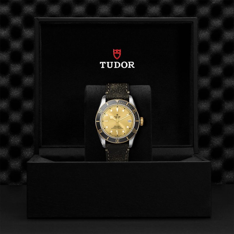 TUDOR Black Bay S&G – Bild 3