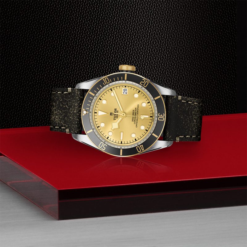 TUDOR Black Bay S&G – Bild 2