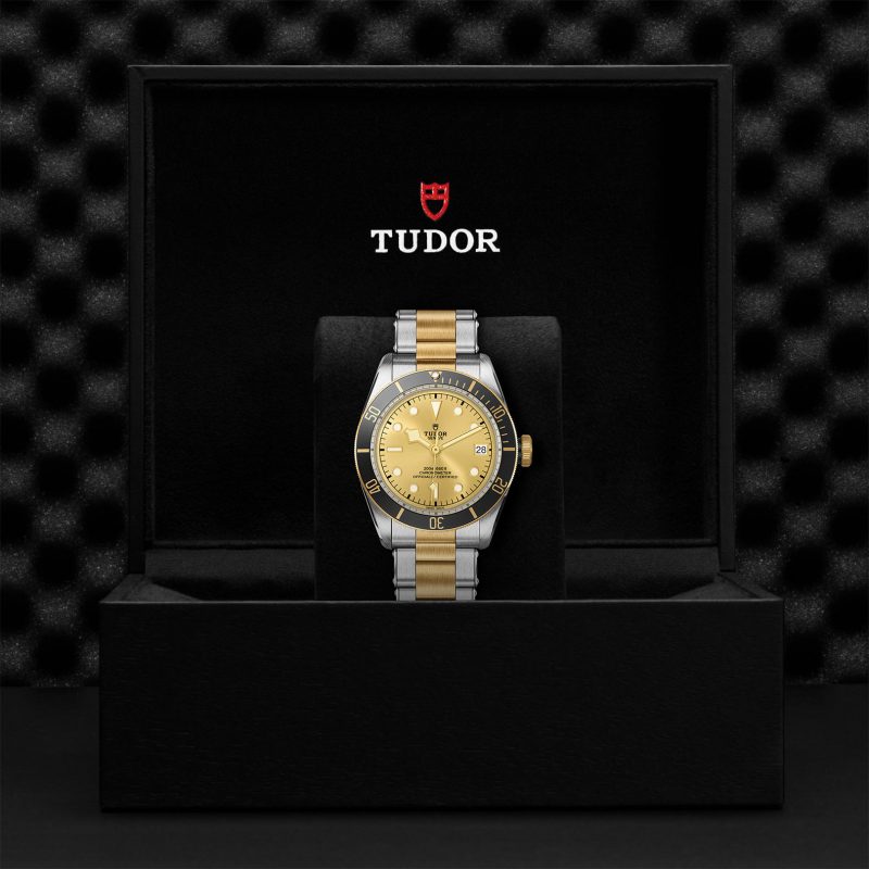 TUDOR Black Bay S&G – Bild 3
