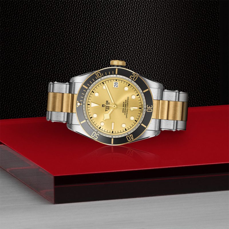 TUDOR Black Bay S&G – Bild 2