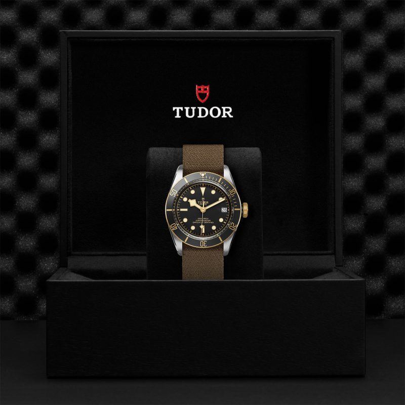 TUDOR Black Bay S&G – Bild 3