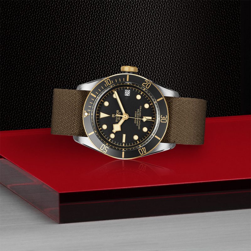 TUDOR Black Bay S&G – Bild 2