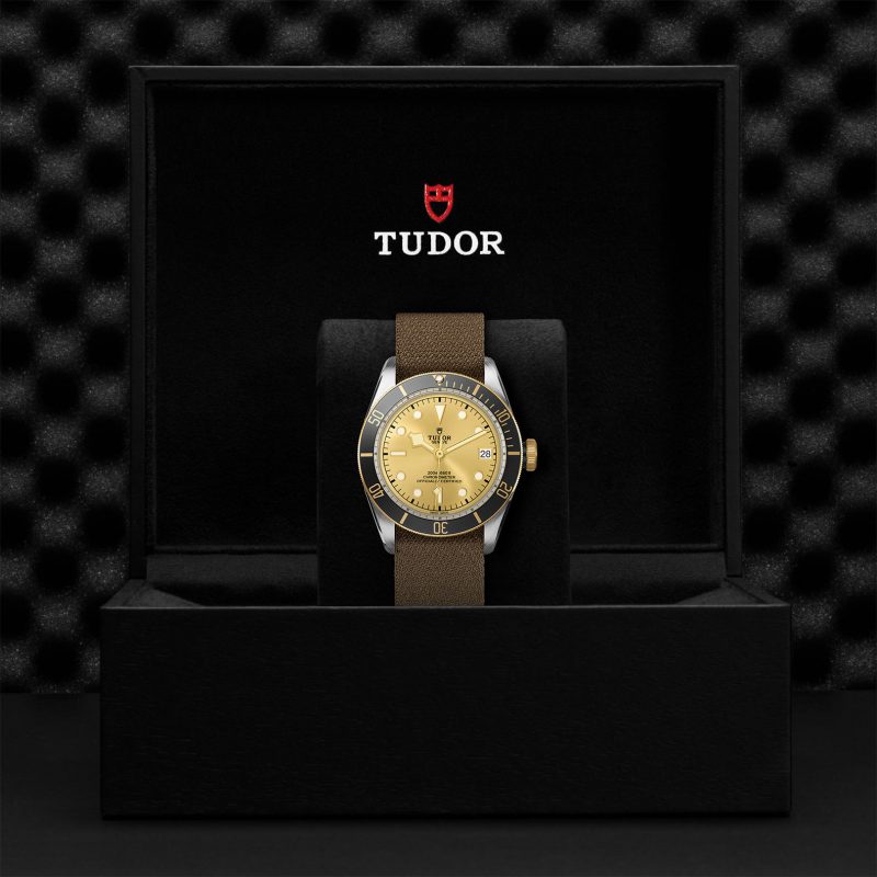 TUDOR Black Bay S&G – Bild 3