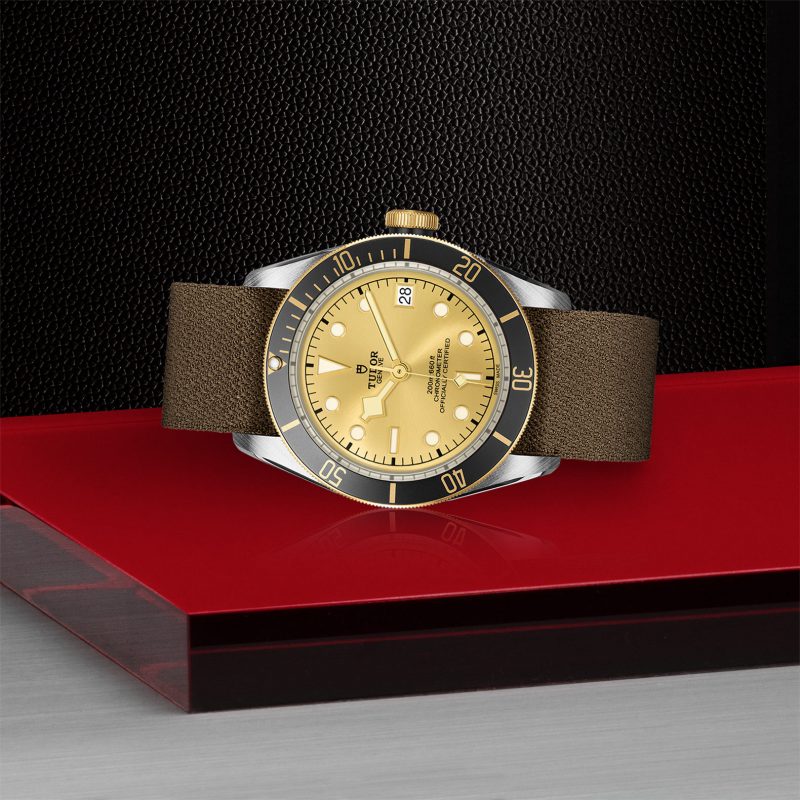 TUDOR Black Bay S&G – Bild 2