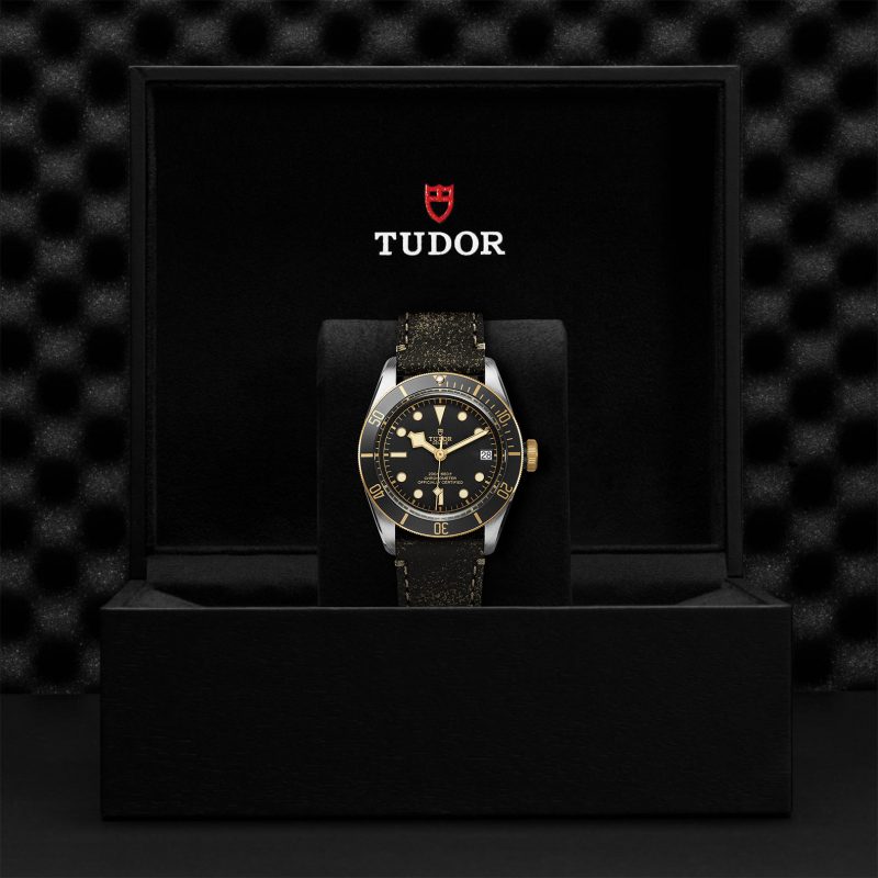 TUDOR Black Bay S&G – Bild 3