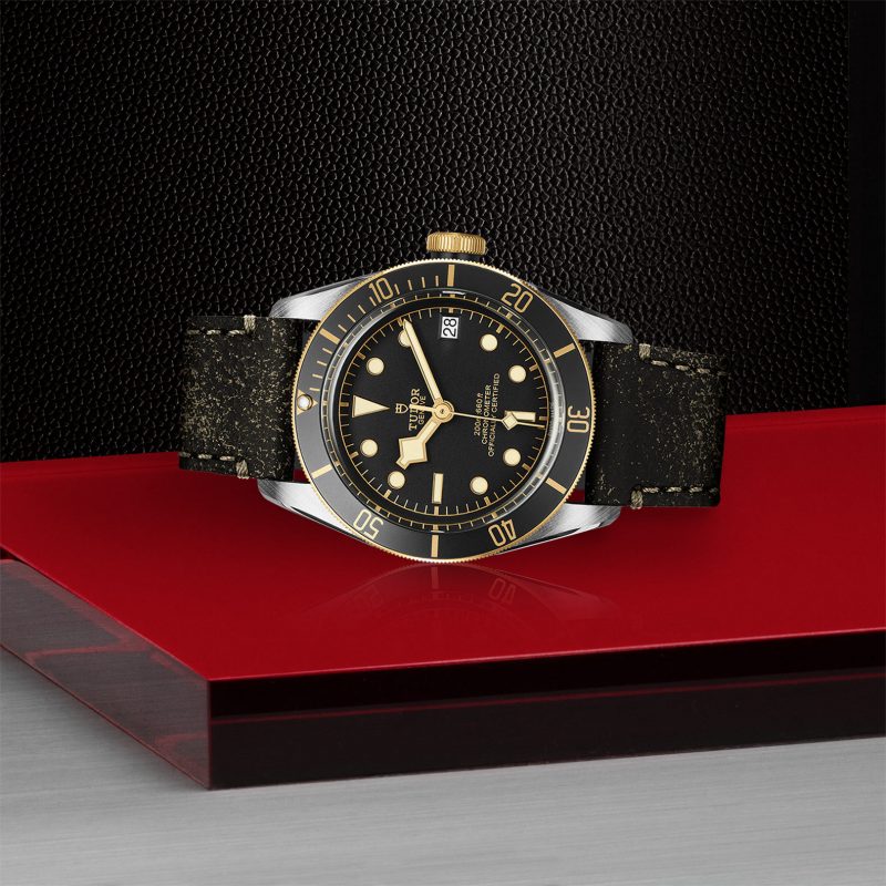 TUDOR Black Bay S&G – Bild 2
