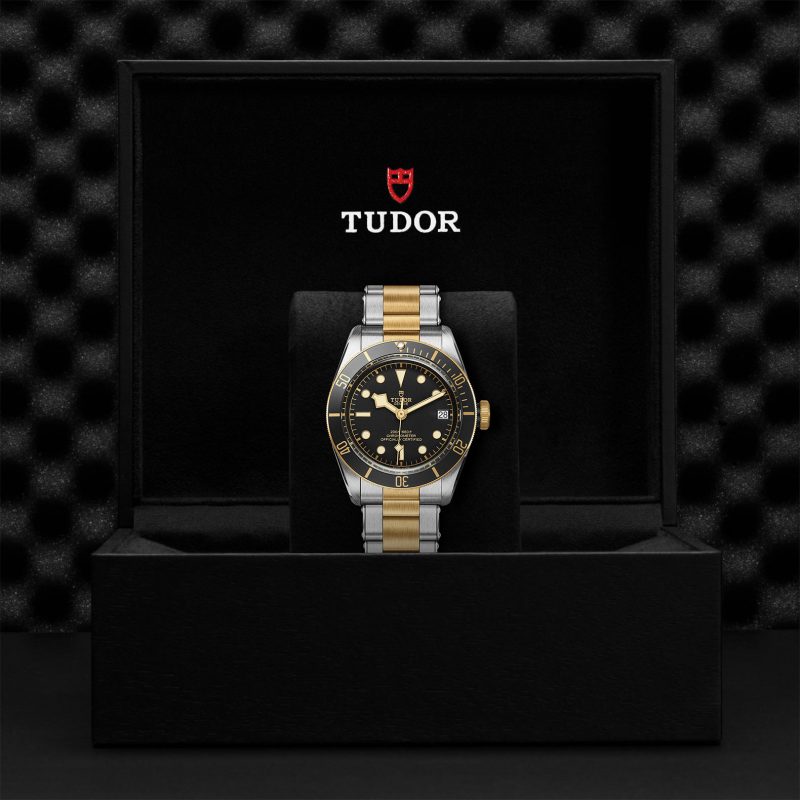 TUDOR Black Bay S&G – Bild 3