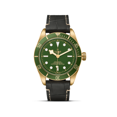 TUDOR Black Bay 58 18k