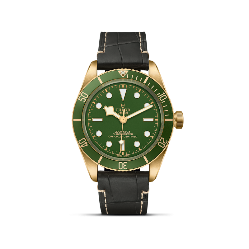 TUDOR Black Bay 58 18k