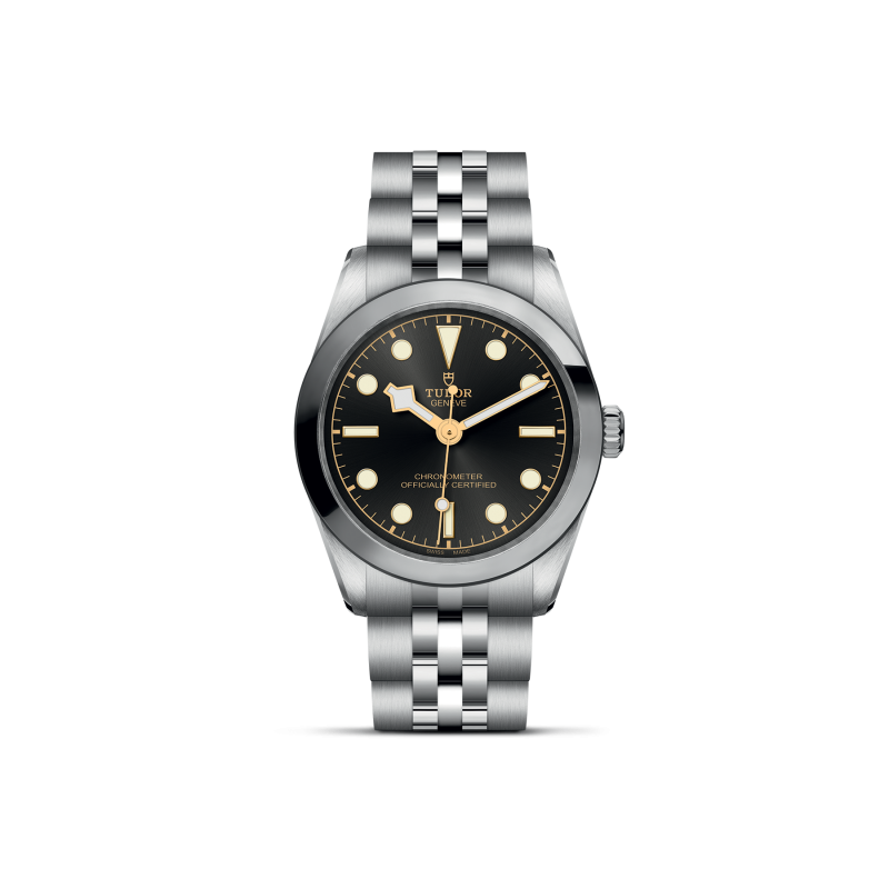 TUDOR Black Bay 31
