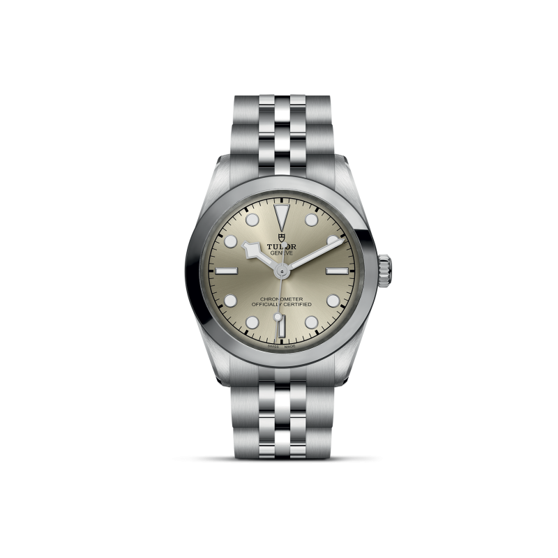 TUDOR Black Bay 31