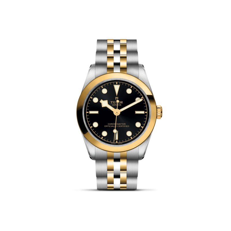 TUDOR Black Bay 31 S&G