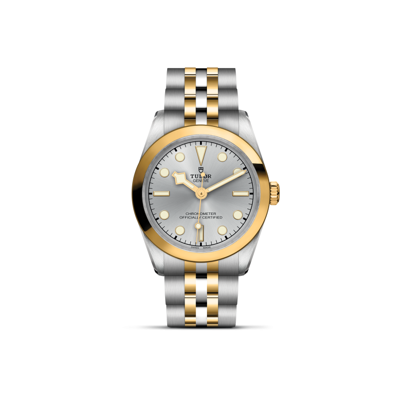 TUDOR Black Bay 31 S&G