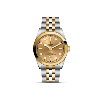 TUDOR Black Bay 31 S&G