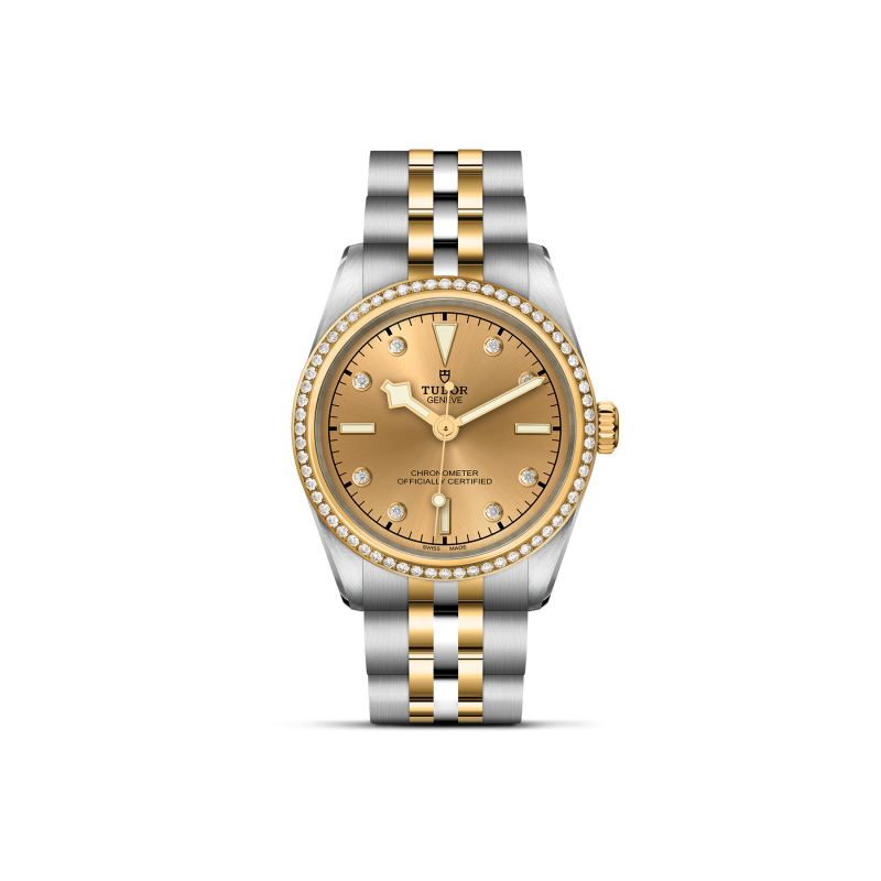 TUDOR Black Bay 31 S&G