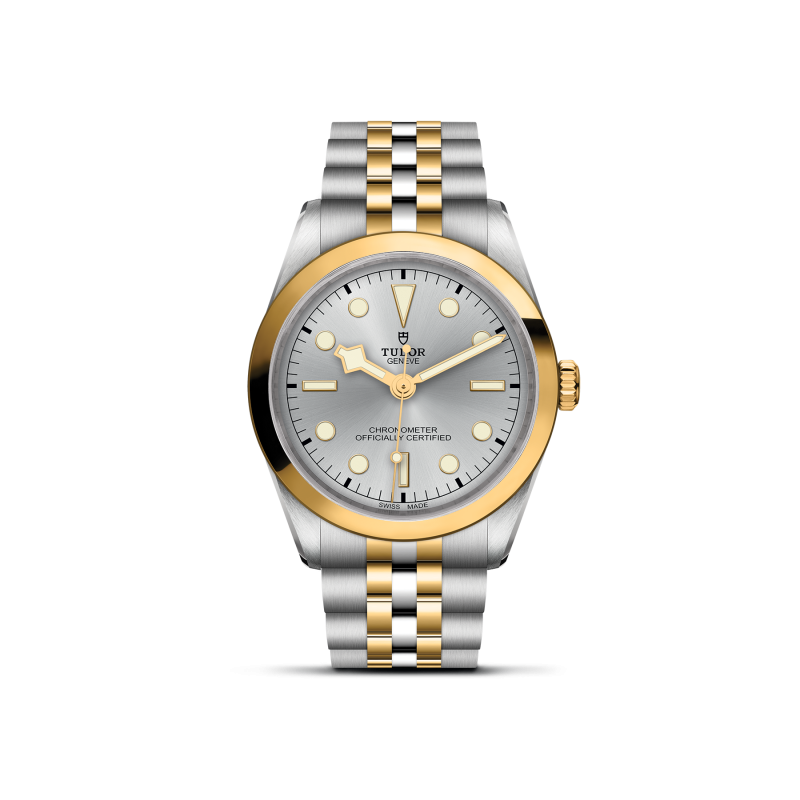 TUDOR Black Bay 36 S&G