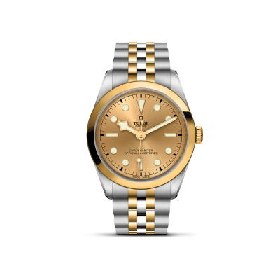 TUDOR Black Bay 36 S&G