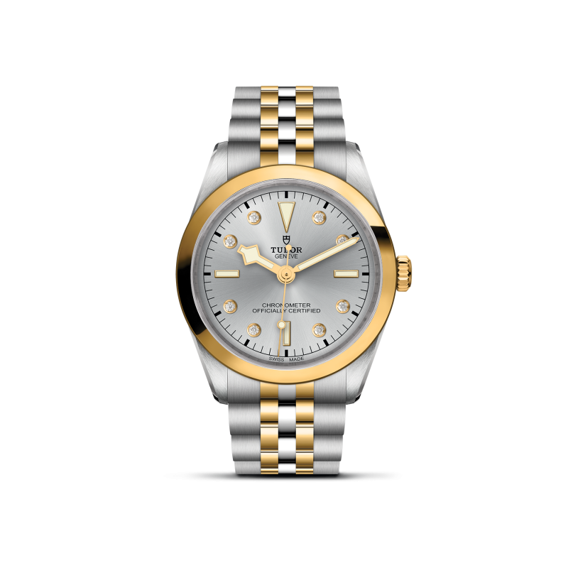 TUDOR Black Bay 36 S&G