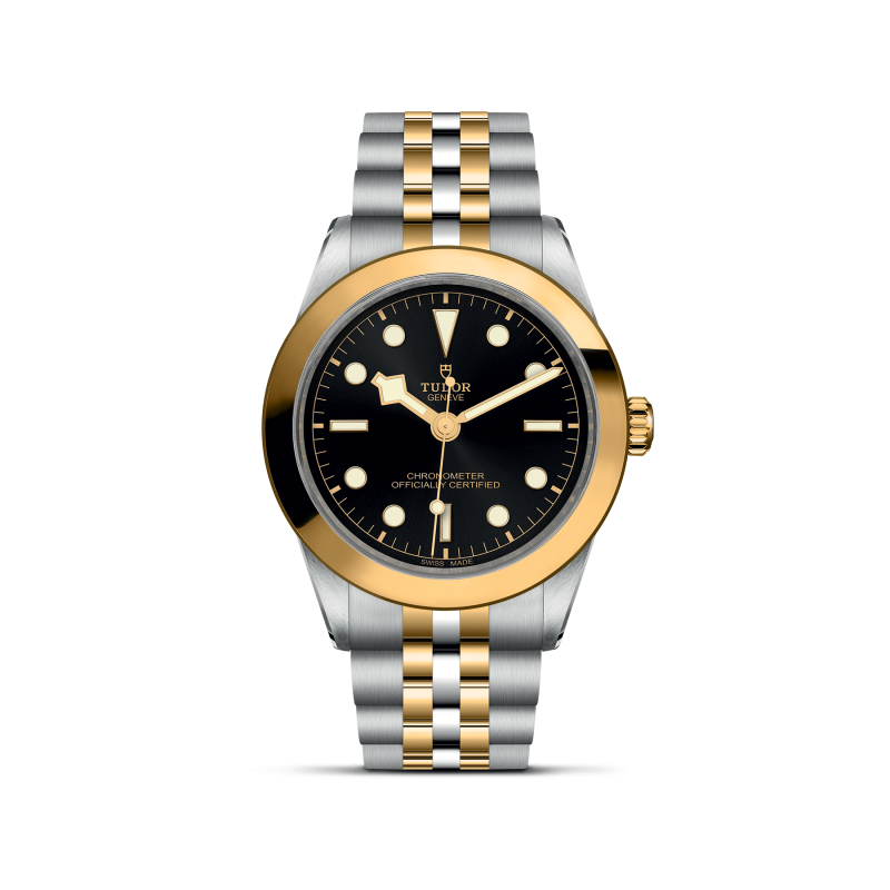 TUDOR Black Bay 39 S&G