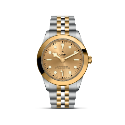 TUDOR Black Bay 39 S&G
