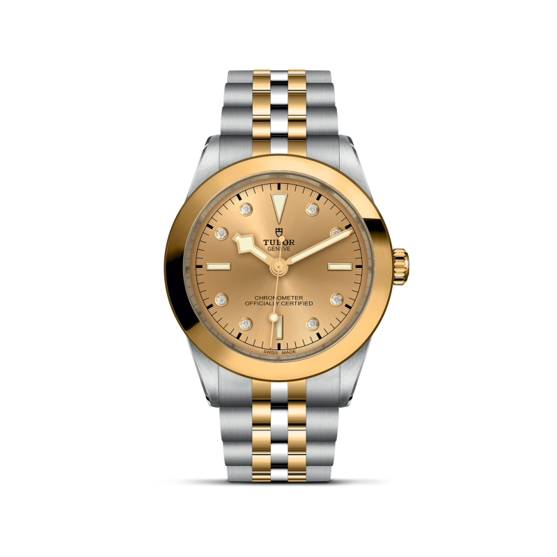 TUDOR Black Bay 39 S&G