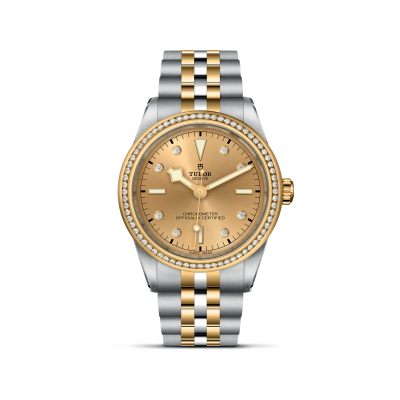 TUDOR Black Bay 39 S&G