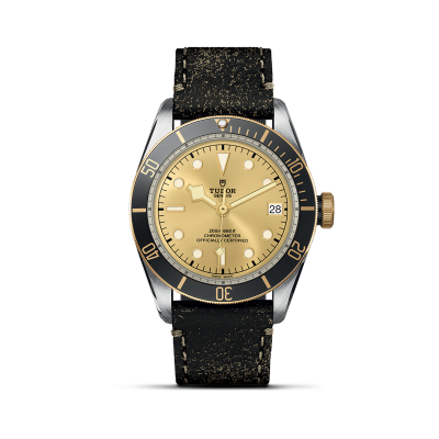 TUDOR Black Bay S&G