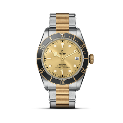 TUDOR Black Bay S&G