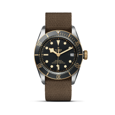 TUDOR Black Bay S&G