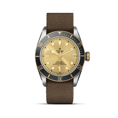 TUDOR Black Bay S&G